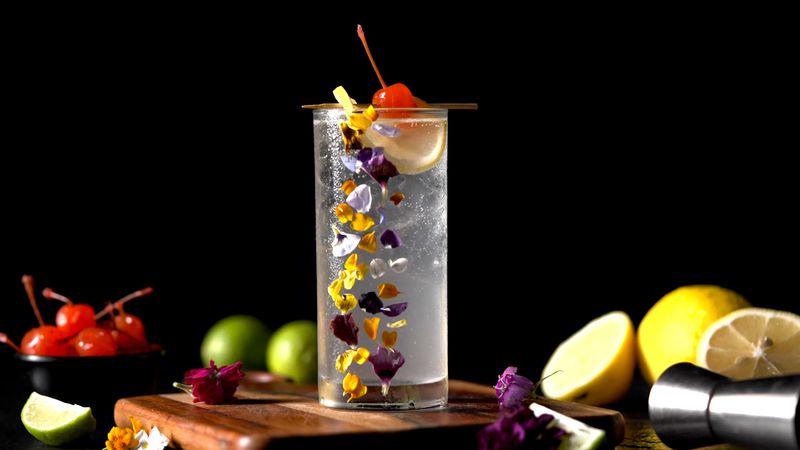 Tom Collins Cocktail